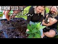 OUR 2020 GARDEN | BUILDING RAISED BEDS, PLANTING SEEDS, GROWING BAGS + GARDEN TOUR