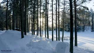 Långvattnet - Blåtjärn (Junsele)