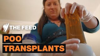 Using Poo Transplants To Cure Mental Illness Short Documentary Sbs The Feed