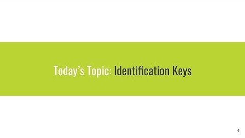 Identification Keys in Symbiota Portals