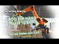 Hệ Thống Robot Bốc Xếp Hàng hóa lên Pallet Tự Động | Palletizing System Solution