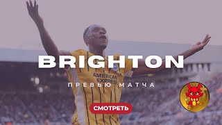видео: Превью МЮ - Брайтон. Уэлбек, дельфины и 1983. картинка: Превью МЮ - Брайтон. Уэлбек, дельфины и 1983.