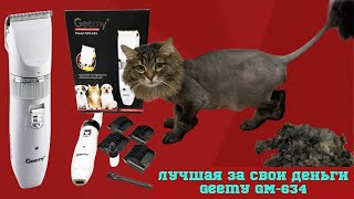 Лучшая за свои деньги. Машинка для стрижки животных Geemy GM 634