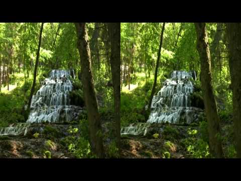 3D HD Relaxing Video - Magic Forest  - yt3d Youtube 3D
