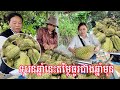 171 - ទុរេនឆ្នាំនេះចុះថ្លៃខ្លាំង មកទិញដល់ចំការតម្លៃធូរថ្លៃ