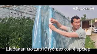 картинка: Меҳмон аз Душанбе барои дидани гармхона ва хоҷагии мо омадан Акаи Искандар Розиқов