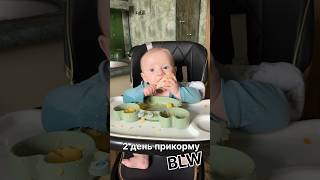 2 день прикорму у Стьопки🥰#прикорм #blw