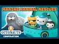 Octonauts    marine mammal rescues   2 hours full episodes marathon  explore the ocean