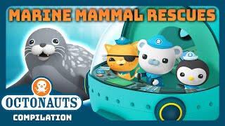 @Octonauts    Marine Mammal Rescues ⛑ | 2 Hours+ Full Episodes Marathon | Explore the Ocean