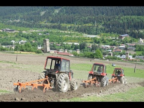 ხვნა მესტიაში