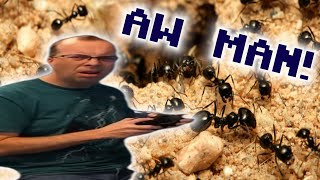 [YTP] 8-Bit Guys Ant Problem
