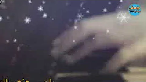 نور الزين اريدك يا غالي نور الزين اريدك يا غالي