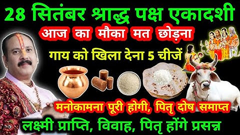 28 सितंबर शनिवार इंदिरा एकादशी गाय को खिला देना 5 चीज लक्ष्मी प्राप्ति मनोकामना पूर्ति पितृ प्रसन्न