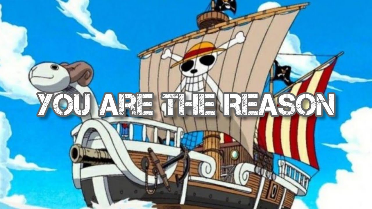 Death of Going Merry😭 - One Piece「AMV」St. francis Episode 512 