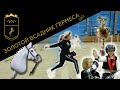 Вторая серия детского реалити-шоу "Золотой Всадник Гермеса"!