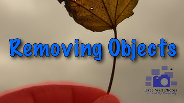 Remove Objects In ON1 Photo Raw - ON1 Tutorial