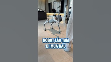 ROBOT DẠO NÀY TOÀN CHO ĐI MIA RAU MUA ĐỒ ĂN #shorts #shortvideo #funny #haihuoc #giaitri
