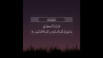 ﴿قال إنما أشكو بثي وحزني إلى الله﴾ القارئ عبدالله الموسى