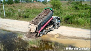 Fantastic Showing New Project Filling Land With Expert Dozer Leveling And Dump Truck Unloading Soil