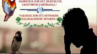 Şiir - Gurbet Kuşu Resimi