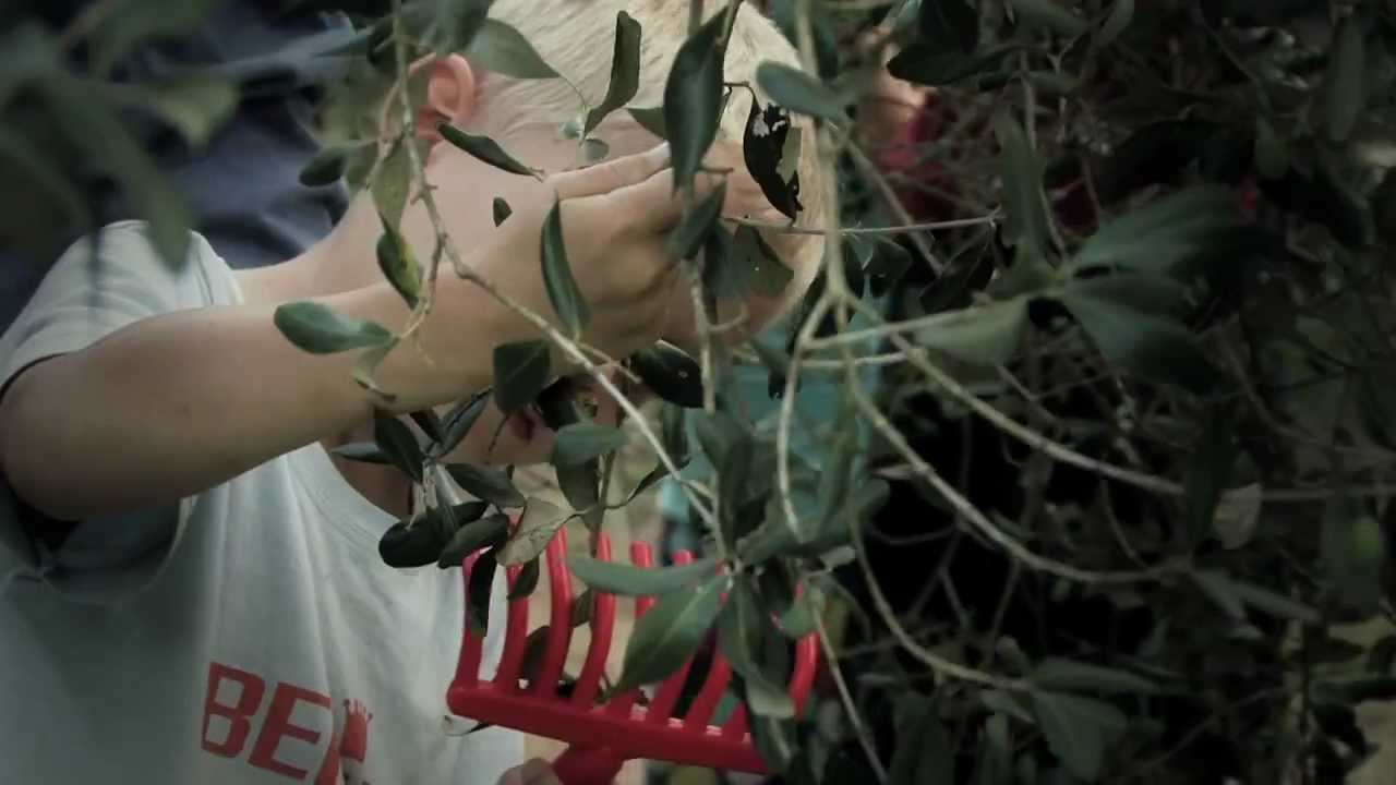 culturanze, poesia dell'Olio e della Musica del Sud