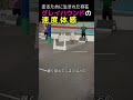 ボーダーコリーが遅く見える!?グレイハウンドの衝撃的な加速力