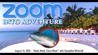 ZOOM Into Adventure Ep.19 - Shark Week!