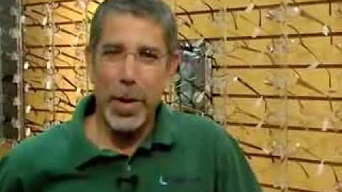 Optometrist Richard Leven On Raphel Marketing