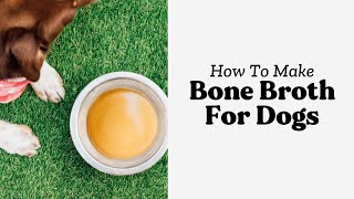How To Make Bone Broth For Dogs (StepByStep Guide)