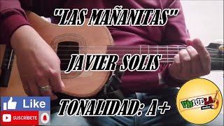 Video thumbnail of "Las Mañanitas - Javier Solis - Cover Vihuela"