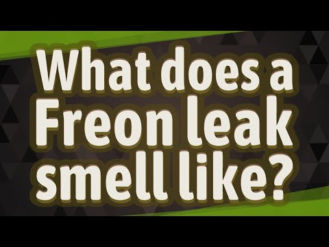 Video: Naar wie ruikt freon?