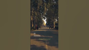 University of Agriculture, Faisalabad