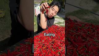 Download Lagu Spicy MP3 Download Lagu Spicy MP3
