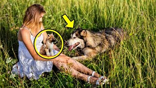 La Loba Puso A Su Bebé Enfermo En Brazos De Una Mujer Y Pidió Ayuda, ¡Y Entonces Ocurrió Esto! by Historias Increíbles 4,553 views 1 month ago 14 minutes, 52 seconds