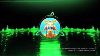 DJ Aligator - Salam Alaikum vs. Binary Finary & Kinetica - In Our Blood (feat. Audrey Gallagher)