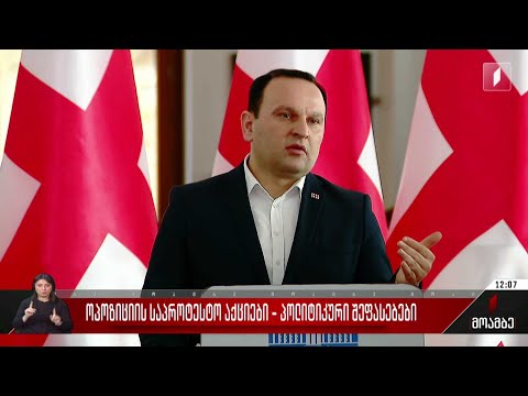 ოპოზიციის საპროტესტო აქციები - პოლიტიკური შეფასებები