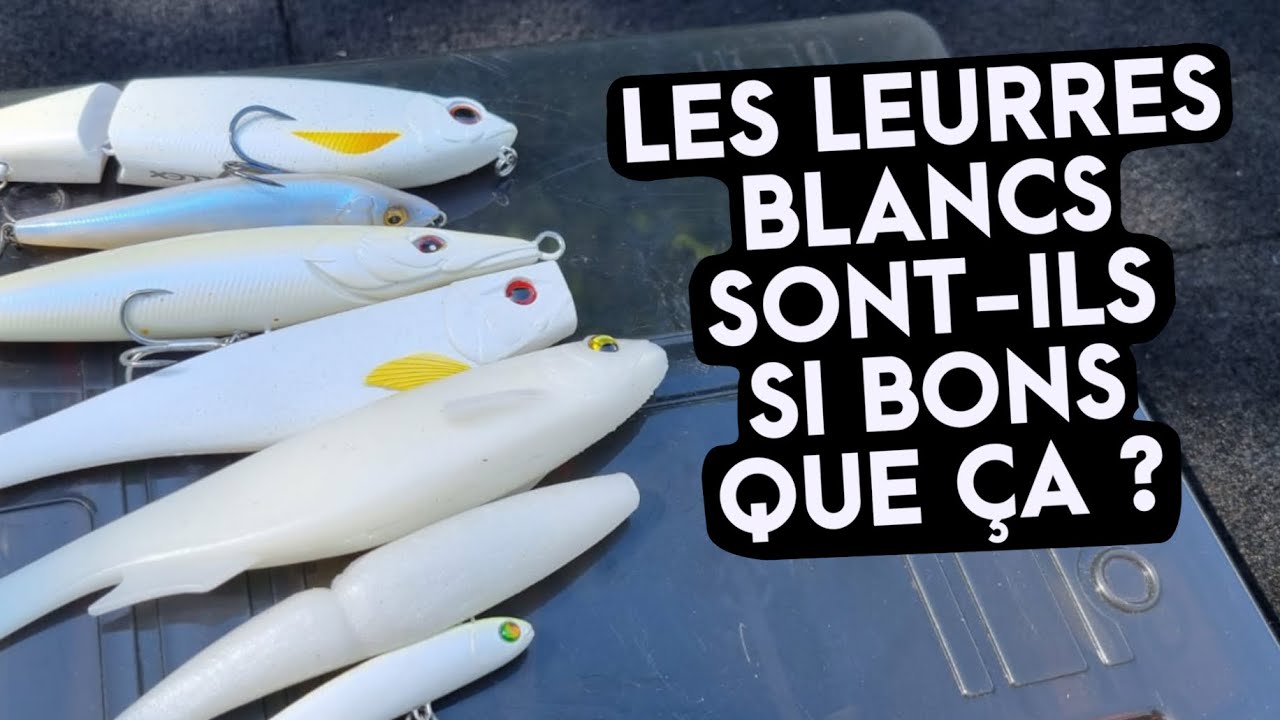 Les leurres blancs sont-ils si bons que ça ??? Le TOP 3 des invités pour la  pêche du bar // FC 39 