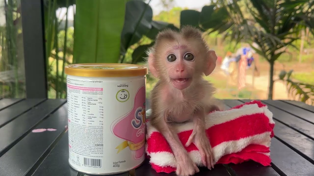 GenZ need milk...........😊😊