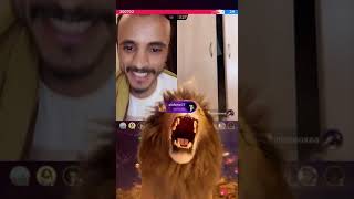 دخول مفاجئ وقوي من السفاح وأقوى دعم ل يحيى مجلي😃في مجموعة أسود وليس أسد🦁 واحد👉🏻