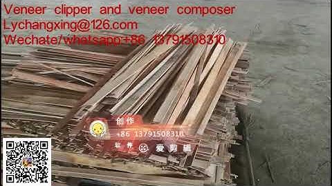 small veneer clipper and composer from China (waste veneer to good veneer-in nepal factory)