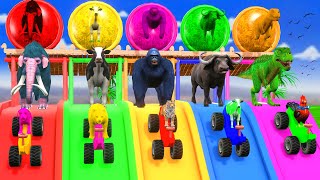 Paint & Animals Cow,Gorilla,Elephant,Lion,Tiger,Dinosaur, Fountain Crossing Transformation Cartoon