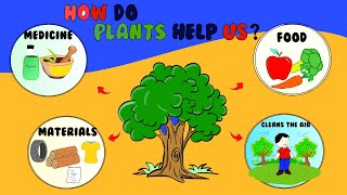 Use of Plants for Kids | How are plants important to us | How Plants help us | Uses of Plants
