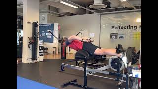 Back extension hold with swimmers (Core, MP)