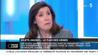 Gilets jaunes : le pari des urnes - Les questions SMS #cdanslair 24.01.2019