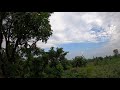 Morning Bliss: Timelapse of My Farm with Bird Sounds