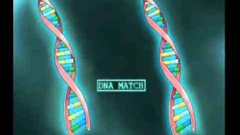Public Understanding of Biotechnology Animation 2008: Forensics