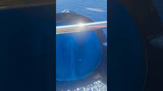 Tooboga water slide cruship MSC