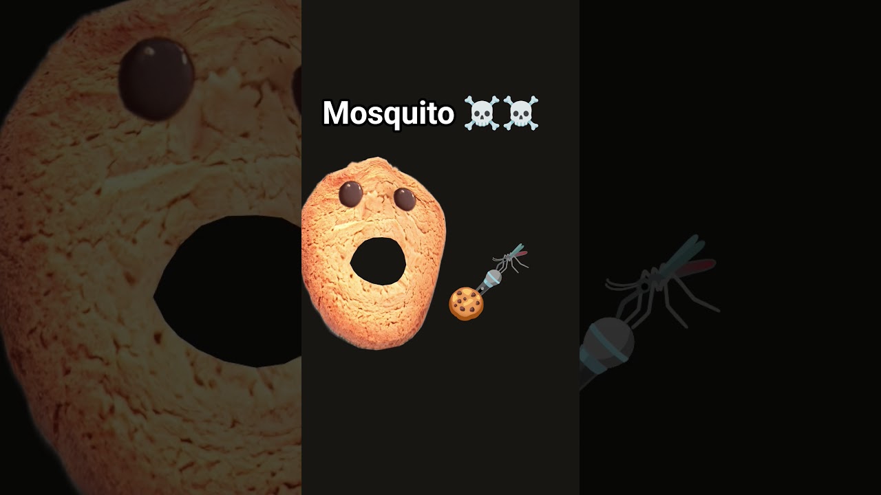 mosquito singing 🤯🤯 - YouTube