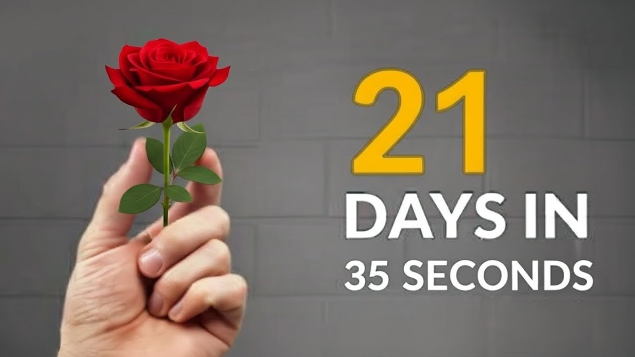 “From Seed to Rose in 35 Sec — 21 Day Journey 🌹✨”