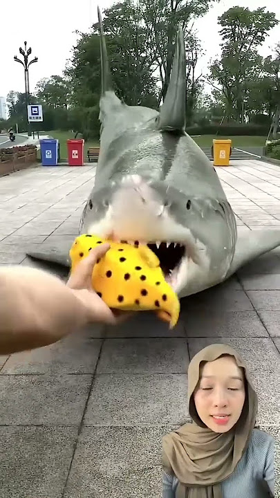 Ikan hiu & Gajah makan #subscribe #shorts #trending #ikan #gajah